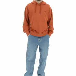 Felpa Con Cappuccio Element Elyft00132 -Lacoste shop 1711a3964f7f3bed566d2dd34ee39c75