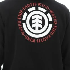 Felpa Con Cappuccio Element Big Logo Sul Retro Uomo -Lacoste shop 43b2d72e9205988c22d3e96ca8740c41