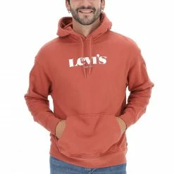 Felpa Levi's Con Cappuccio Art. 384790064